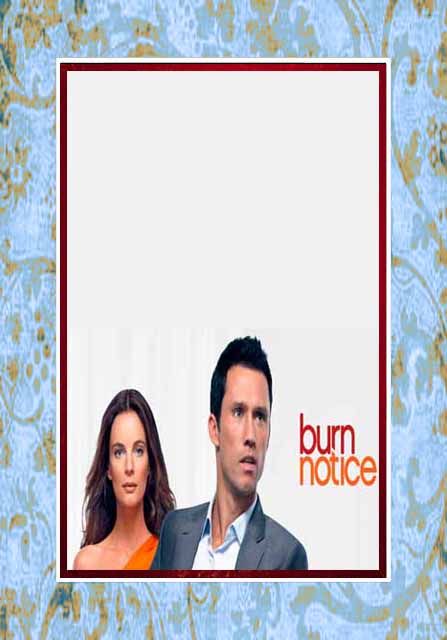 Burn Notice - Complete Series (image for) Burn Notice - Complete Series